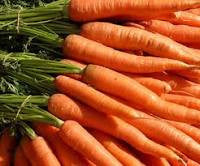 Carottes